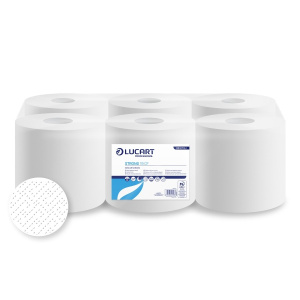 Lucart Ręcznik Papierowy w roli Celuloza 100m 2W 861078J